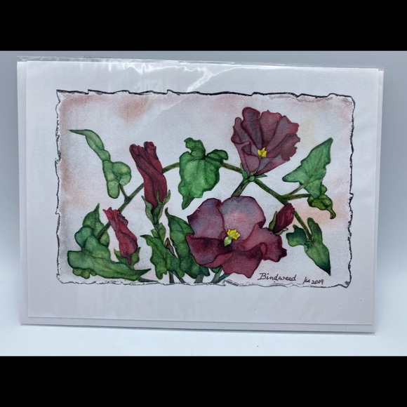 “Bindweed” Watercolor Notecard - Picture 2 of 4